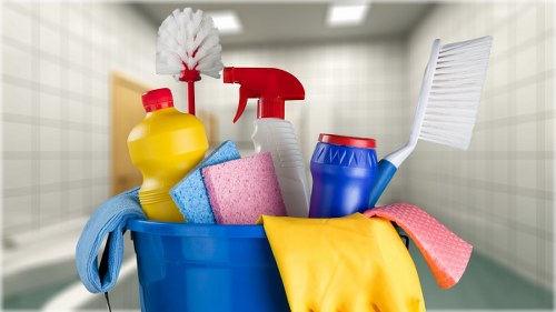 Pet stain odour removal on carpet in a living room