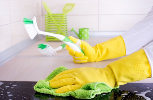 Preparing supplies for mattress cleaning and stain treatment