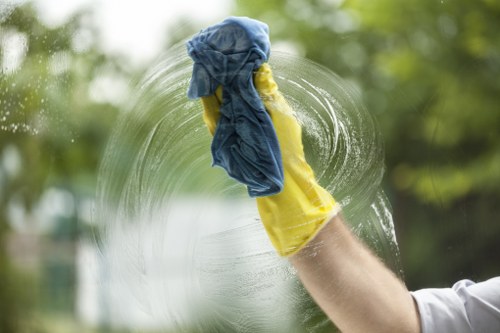 Cleaning pet stain odour from upholstery and rugs